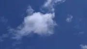 まめたろうの画像