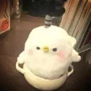 AIKAの画像