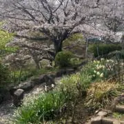 カナの画像