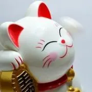 きらり☆の画像