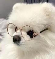 ひめの画像