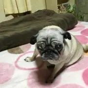みっちん