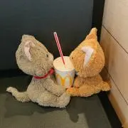 Maru＊piccoの画像