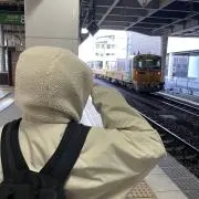 ぽぽの画像