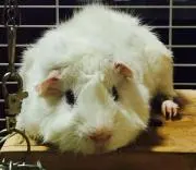 m.n.mの画像