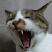 ハンターの画像
