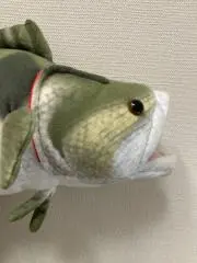 TKの画像