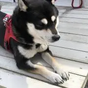 三和健の画像