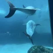 Mioの画像