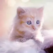 ミュウ♡