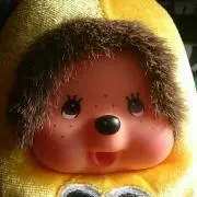 ここたん