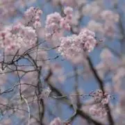 いちる※プロフ必読の画像