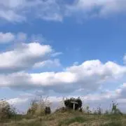 よし