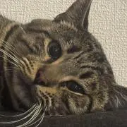 とんがり