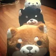 みやの画像