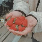 よっしー
