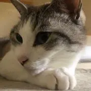そーちゃん　断捨離中の画像