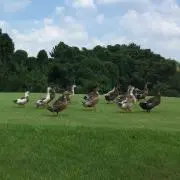 リユースの画像