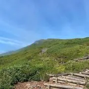 すけの画像