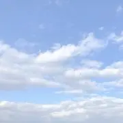 いちごあめの画像
