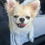 ゆた