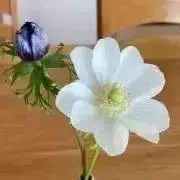 SATOUの画像