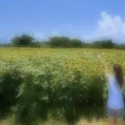 りん。りん。の画像
