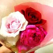 のんプロフ必読❤︎