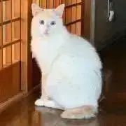 Mの画像