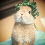 watawataの画像