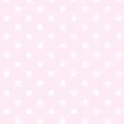 Sの画像