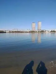 あかねの画像