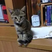 まとめ割交渉ありの画像