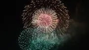 かいわれ大根15世