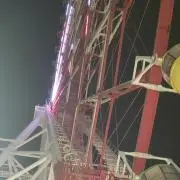 キナの画像
