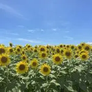 ©︎haⓂ︎ プロフ必読の画像