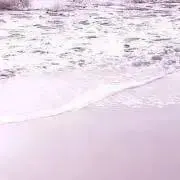 yの画像