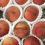 まのんの画像
