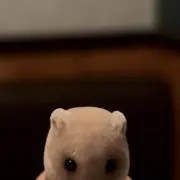 ⟡(※プロフ必読)の画像