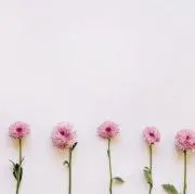 O＊プロフ必読＊の画像