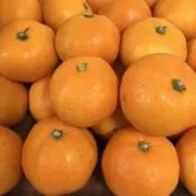 みかんの画像