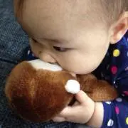 HANA❁⃘*.゜