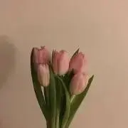 m/na.の画像