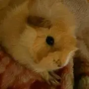ユー☆⚠️プロフ必読！
