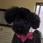 EMI