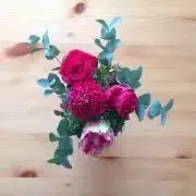 あんこの画像