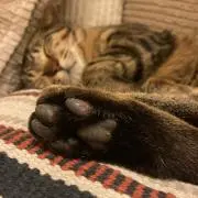 tenten ✳︎プロフィール必読下さい