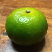 Ken