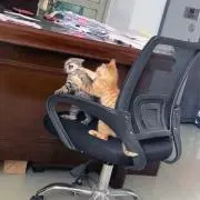 初めてのフリマの画像