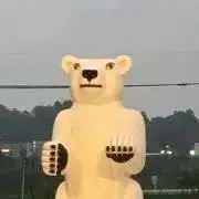 ちゃー⭐︎の画像
